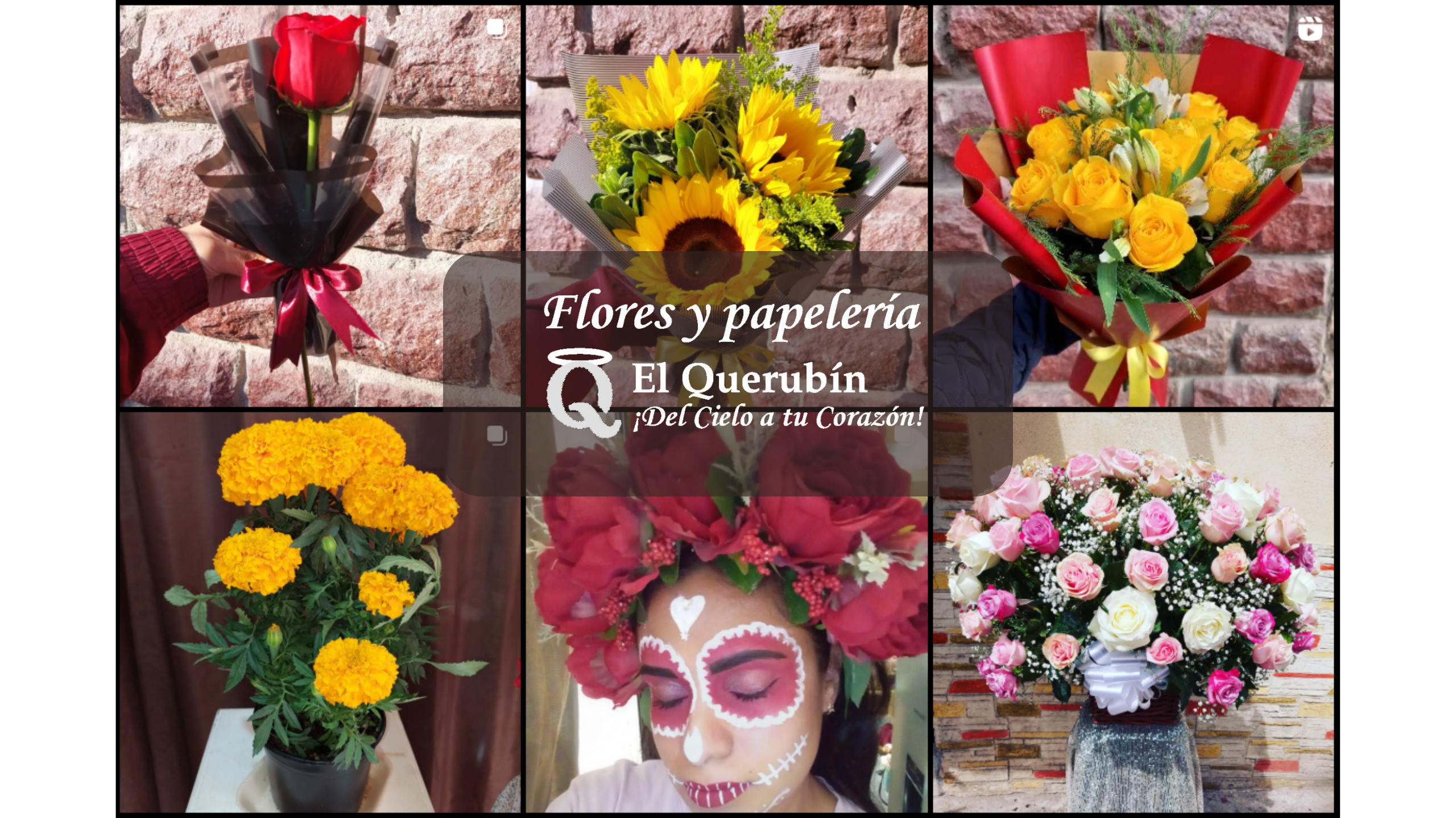 En este momento estás viendo Bienvenidos a El Querubín: Flores y Papelería