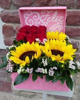 Amor 1 – Amanecer Aniversario