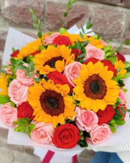 Amistad 6 – Esplendor del Sol