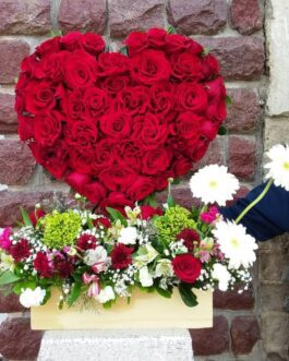 Amor 2 – Corazón de Pasión