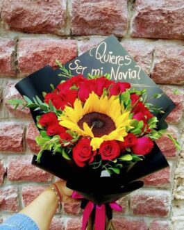 Amor 7 – Propuesta Radiante