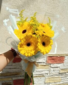 Amistad 7 – Amanecer de Amistad