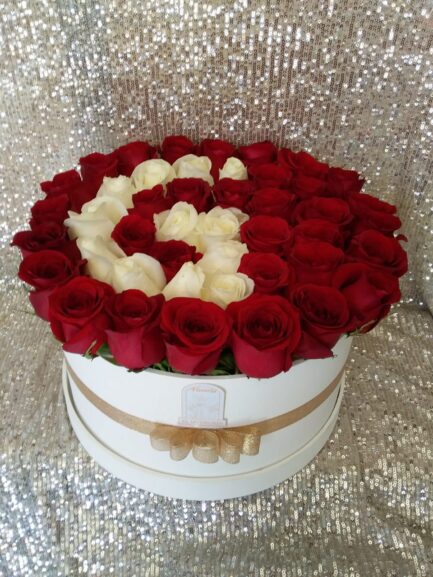 Amor 3 - Elegancia Bicolor