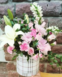 Amistad 9 – Cariño Maternal