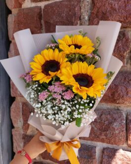 Amistad 3 – Día Soleado